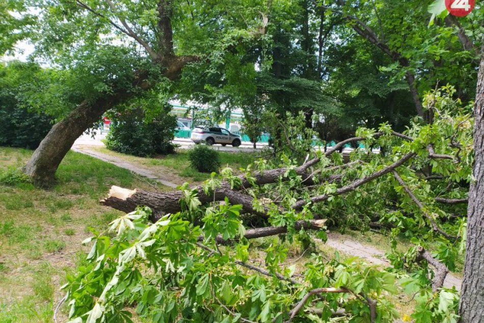 Ilustračný obrázok k článku Na Moravce sa rúti silný vietor: Môže napáchať veľké škody!